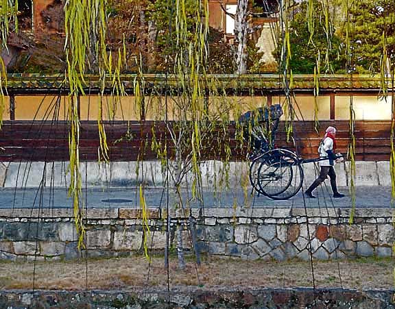 芦屋プラン株式会社 宇治市植物公園